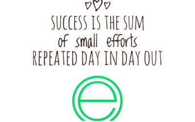 Success is the Sum of Small Efforts Repeated Day In Day Out