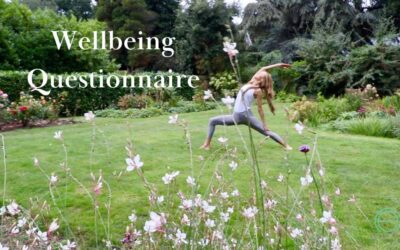 Elizabeth Nadine Wellbeing Questionnaire