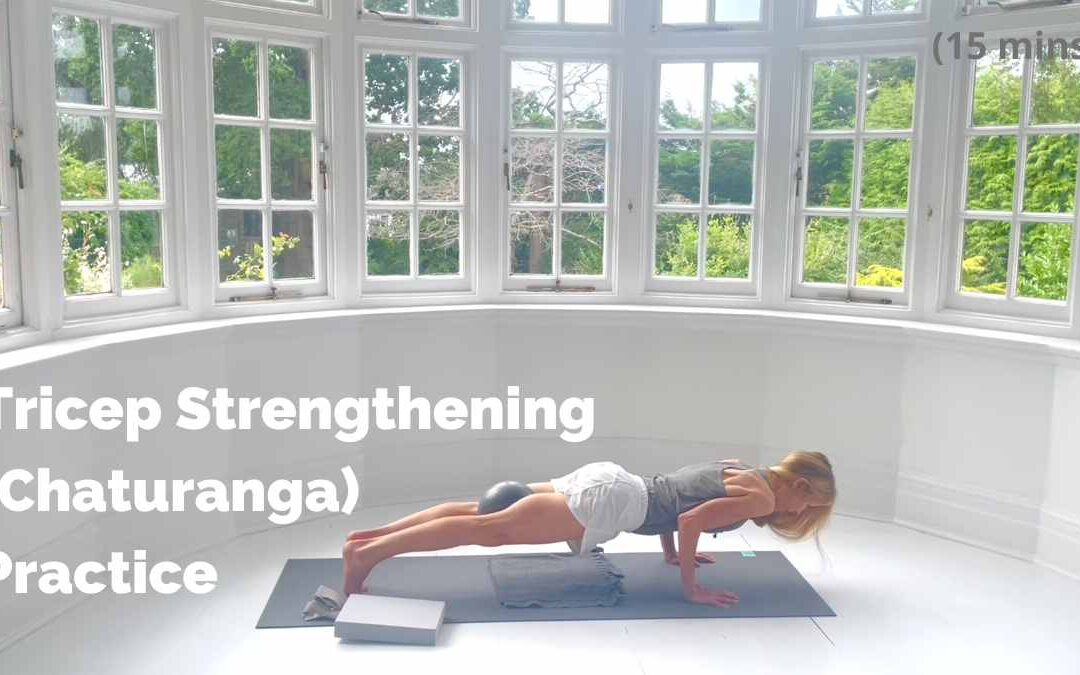 Tricep Strengthening (Chaturanga) Practice