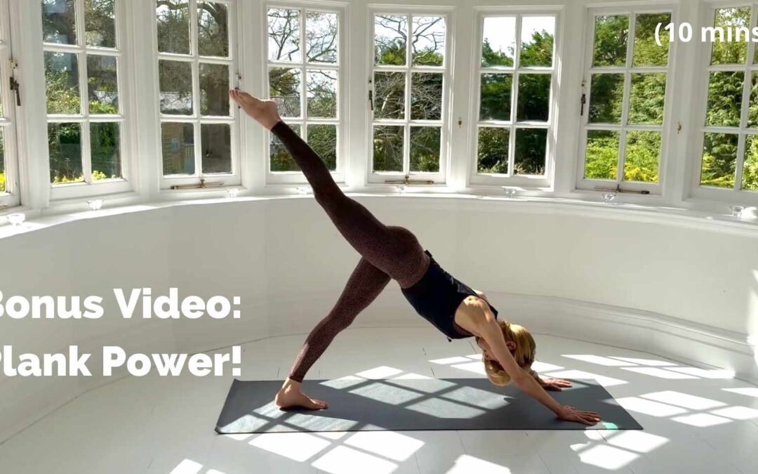 Bonus Video: Plank Power!