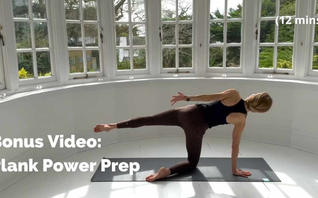 Bonus Video: Plank Power Prep