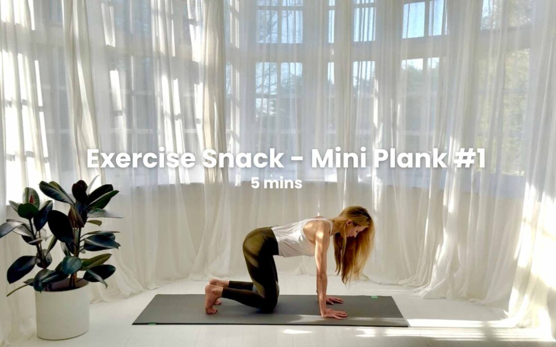 Exercise Snack – Mini Plank #1