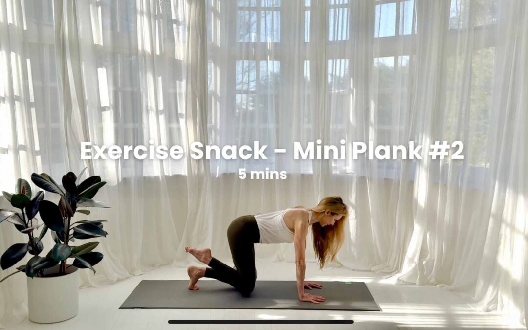 Exercise Snack – Mini Plank #2